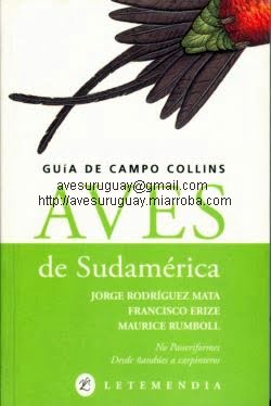 Guía de Campo Collins